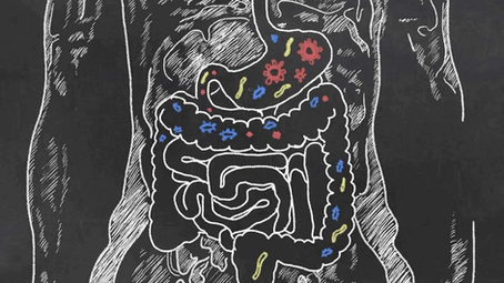 Gut News for 2020!