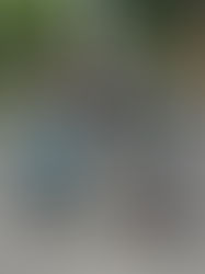 Komunitas Honda Meriahkan Regional Public Launch All New Honda Vario 125 di GOR Sidoarjo