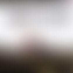 IIMS 2026 Siap Digelar dengan Konsep Sportainment Targetkan Transaksi di Atas Rp8 Triliun