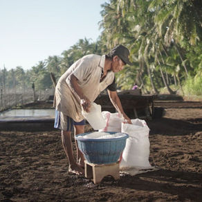 Program Desa Sejahtera Astra Kembangkan Desa Les di Buleleng Bali Jadi Desa Wisata Berbasis Kearifan Lokal