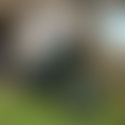 Kawasaki Surapita Gelar Halal Bi Halal dan Product Reveal KLE 500