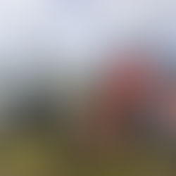 Adu Spek QJ Motor Fort 180 Adventure vs Honda ADV 160