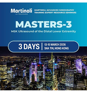 202603-Martinoli-Ultrasound-course.jpg