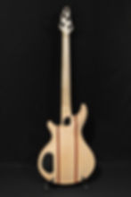 Thumbnail: SBIII-FL 5 String (Fretless)