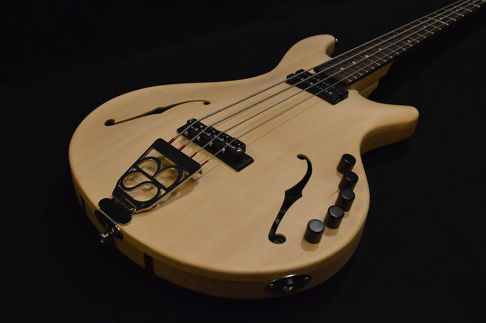 Miniatura: SBIII-FT 4 corde