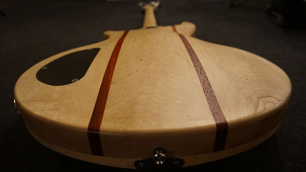 Miniatura: SBIII-FT 5 corde