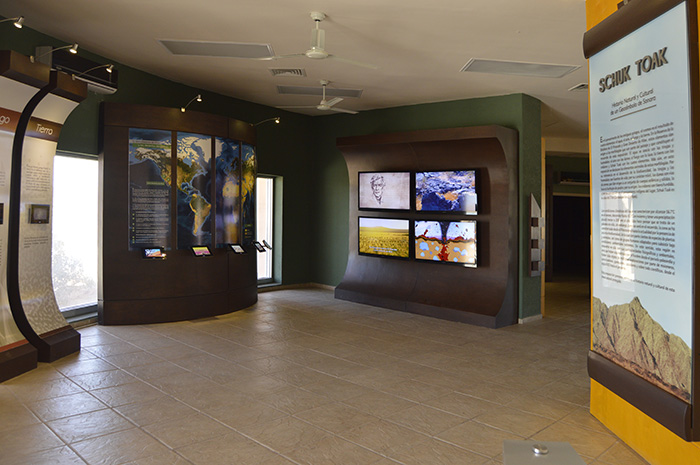 3 rutas para explorar El Pinacate