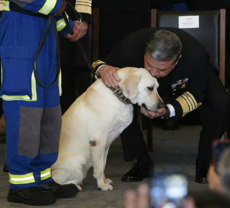 Frida, la rescatista de México, entre los mejores perros del 2019