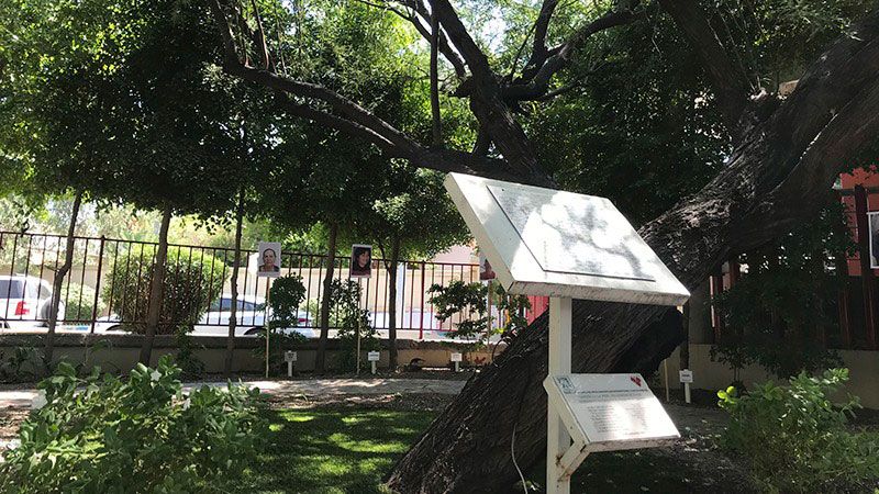 En el Jardín de la Vida del Hospital General en Hermosillo se han plantado 227 árboles en honor a donadores de órganos