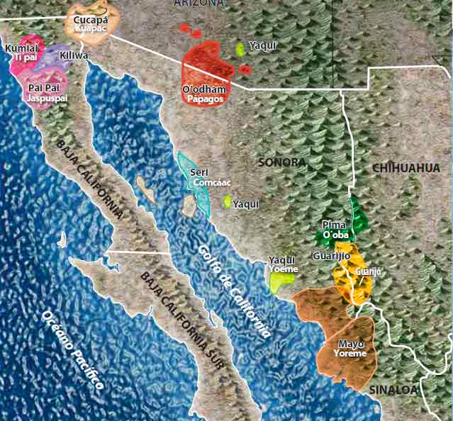 pueblos originarios sonora nalyn chable