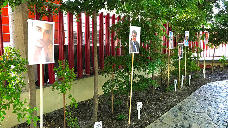 En el Jardín de la Vida del Hospital General en Hermosillo se han plantado 227 árboles en honor a donadores de órganos