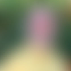 ¡Caracoles! Ecología reproductiva del caracol chino del Mar de Cortés