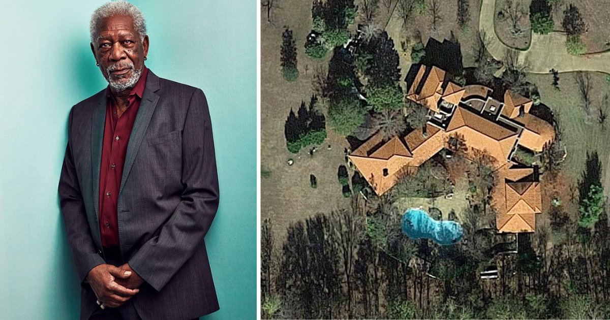 Resultado de imagen para morgan freeman bee sanctuary