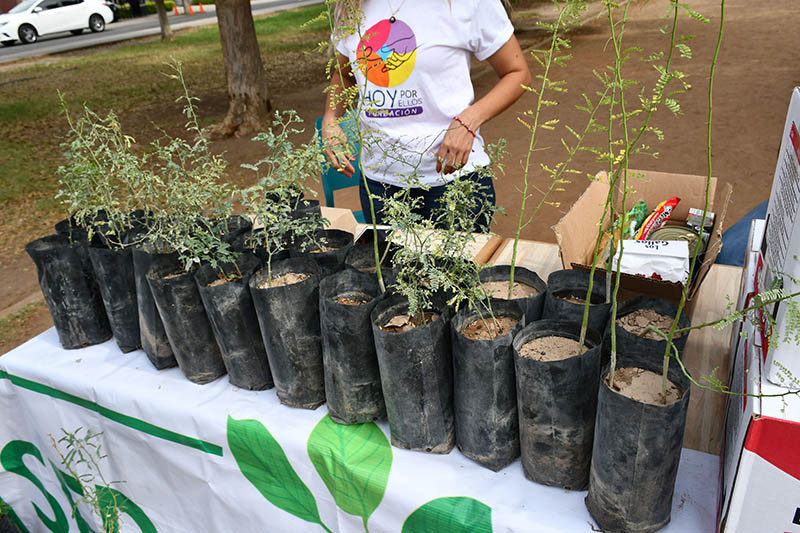 Fundación Hoy por ellos Sonora