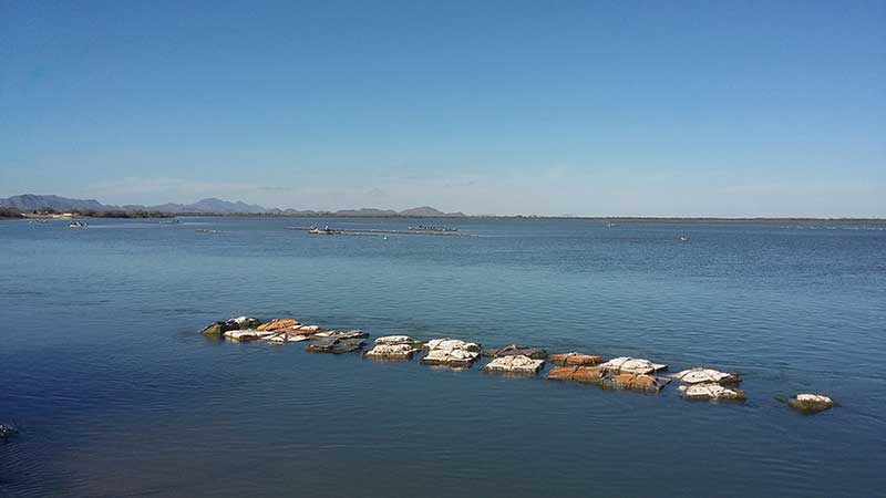 Estero La Cruz, Bahía de Kino, Sonora. Foto: Martín Bustillo Ruiz