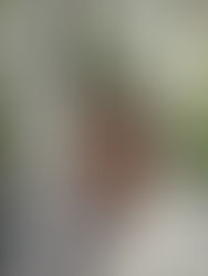 Confirman hallazgo de 150 altares en la Riviera Maya