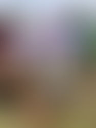 En India, 2 millones de personas se unen para plantar 20 millones de árboles