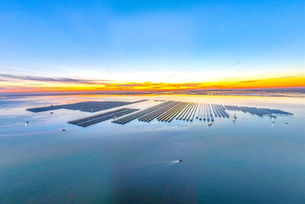 Parque solar marino de gran escala en China visto desde el aire al atardecer, con miles de paneles solares instalados sobre el mar para generación de energía limpia.