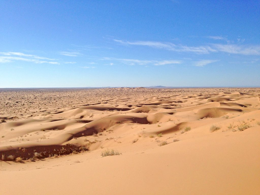 3 rutas para explorar El Pinacate