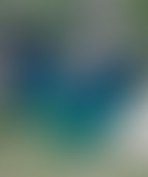 Cenote Corazón del Paraíso en Tulum, ¡te enamorará!