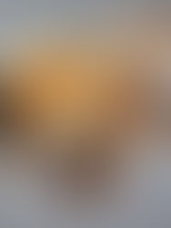 Conoce a las “abejas sagradas” de los mayas cuya miel es curativa