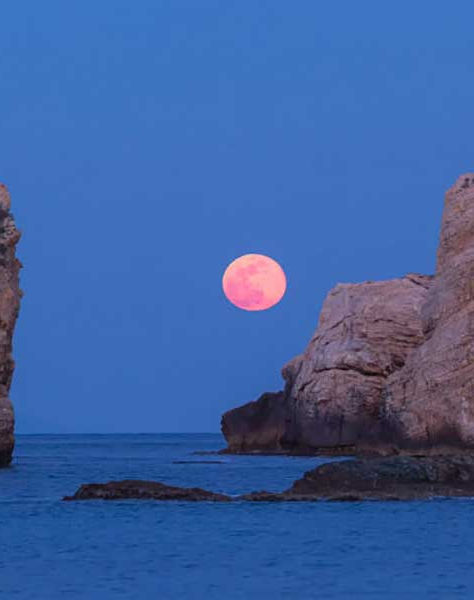 Luna de Fresa: Cómo y donde ver la última superluna de 2021