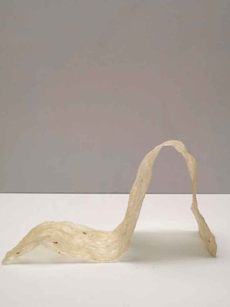 Joven mexicana crea bioplástico a partir del agave