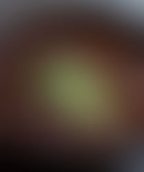 4 Alimentos del Futuro que son de origen mexicano