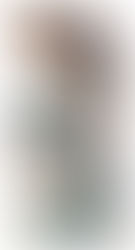 Quetzal, ave mística de México