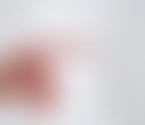 7 acciones para salvar el planeta