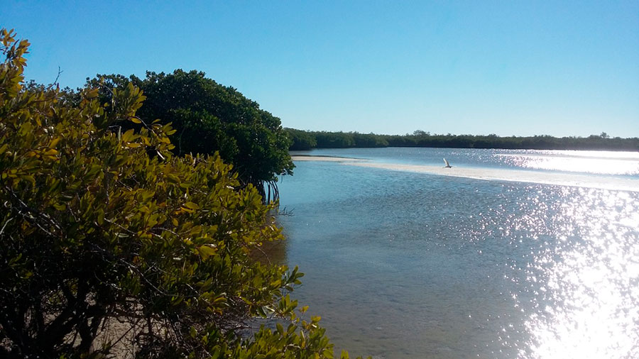 Estero Santa Rosa, Bahía de Kino, Sonora