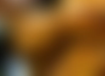 ¿Por qué se festeja el Día de la Candelaria en México?