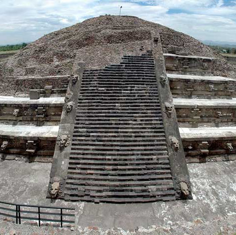 Descubren ramos de flores de más de 1,800 años de antigüedad en Teotihuacan