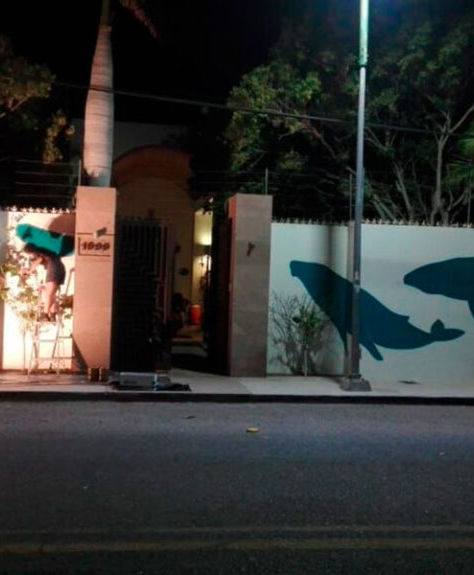 ¡Mural de ballenas! La joven artista visual que empieza a hacer historia con su arte