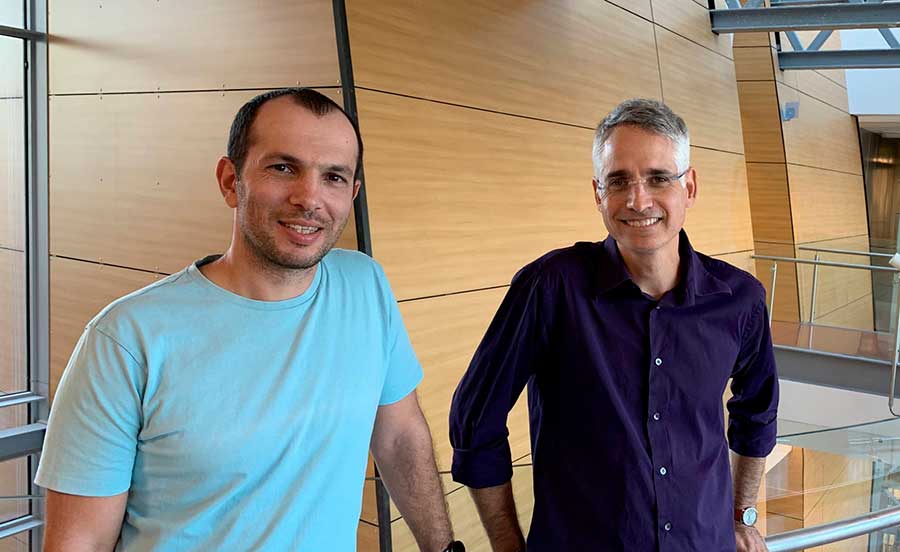 Científicos desarrollan bacteria que podría "comer" CO2 y ayudar a mitigar el cambio climático