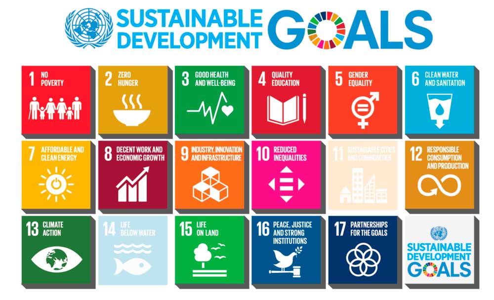 África pone el ejemplo y planta 8 mil kilómetros de árboles para construir la 'Gran Muralla Verde'