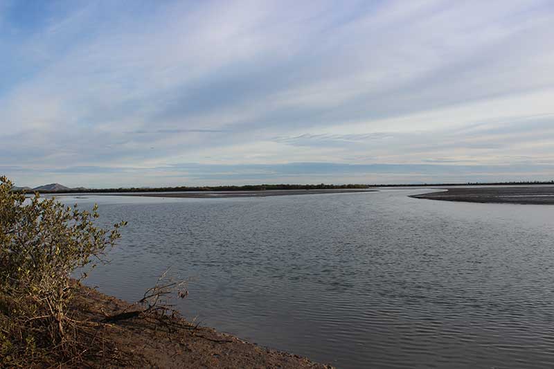 Estero La Cruz, Bahía de Kino, Sonora. Foto: Martín Bustillo Ruiz