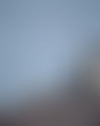 La Antártida registra temperaturas récord superiores a los 20°C