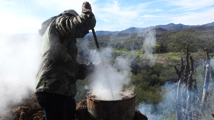 Bacanora: Tesoro Escondido en la Sierra de Sonora