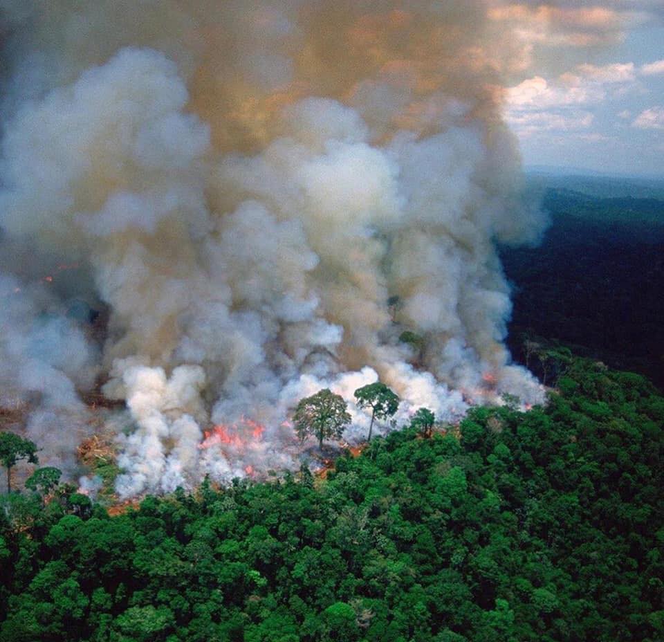 Emergencia en el Amazonas; incendio consume miles de hectáreas