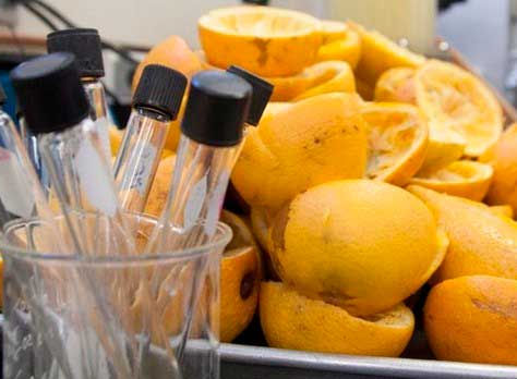 Mexicana crea plástico con naranjas; es 100% biodegradable y amigable con el medio ambiente