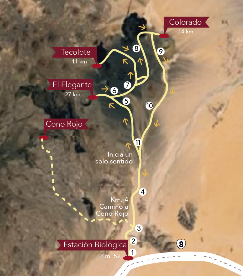 3 rutas para explorar El Pinacate