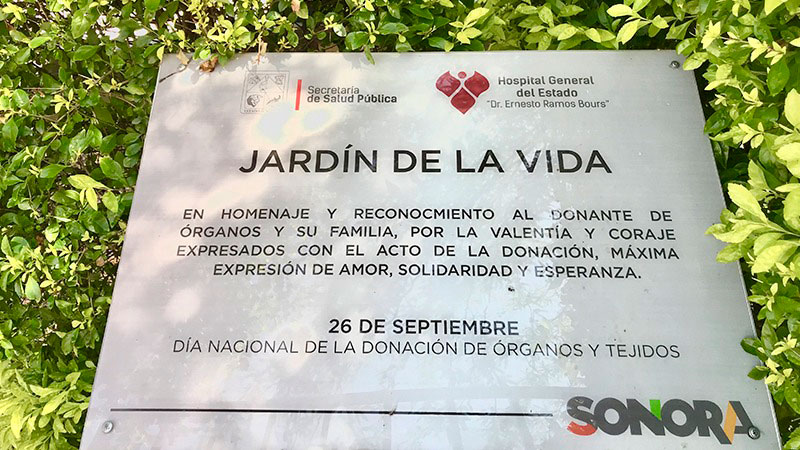 En el Jardín de la Vida del Hospital General en Hermosillo se han plantado 227 árboles en honor a donadores de órganos