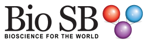 Bio SB Alfonso Heras Portillo