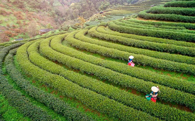 Estas son las 15 mejores ciudades para viajar chiang mai