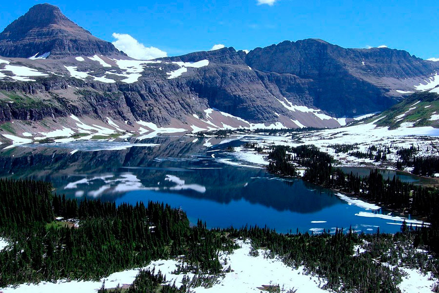 CIENTÍFICOS DESCUBREN QUE LOS RÍOS GLACIARES ABSORBEN MÁS CO2 QUE SELVAS Y BOSQUES