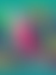 México busca convertirse en el “tigre de América” con el Plan México y la revisión del T-MEC 2026. Análisis con datos reales, ventajas, riesgos y escenarios.