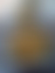 Nace la ‘Roscamuerta’, una fusión de sabor 100% mexicano