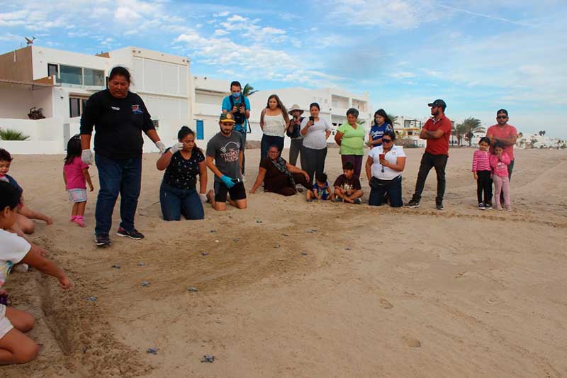 Grupo Tortuguero de Bahía de Kino