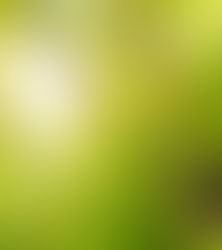 La psicología detrás de los colores